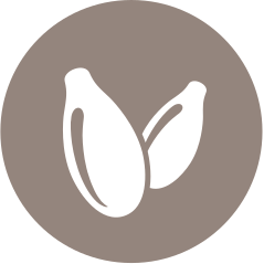Sésamo